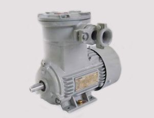 進(jìn)一步了解南陽防爆三相異步電動機(jī)
