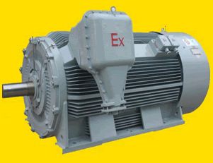 南陽(yáng)YB2系列高壓隔爆型三相異步電動(dòng)機(jī)