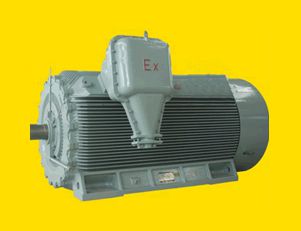 南陽(yáng)YBX3系列隔爆型三相異步電動(dòng)機(jī)