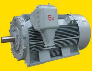 南陽(yáng)YB2系列高壓隔爆型三相異步電動(dòng)機(jī)